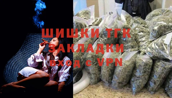 a pvp Ельня