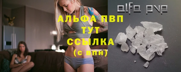 spice Кострома