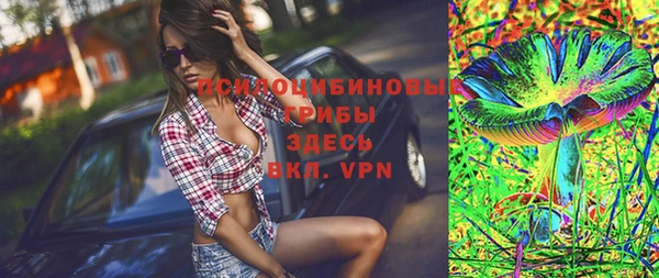 apvp Лиски