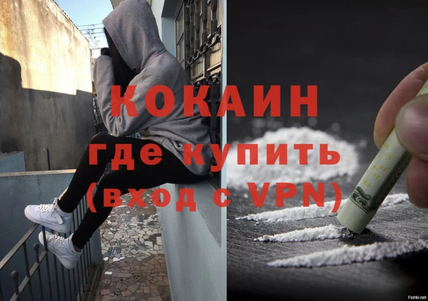 spice Кострома
