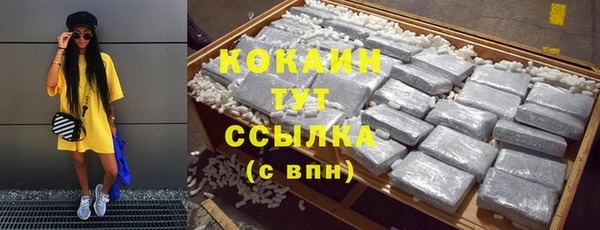 a pvp Ельня