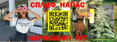 сатива Беслан