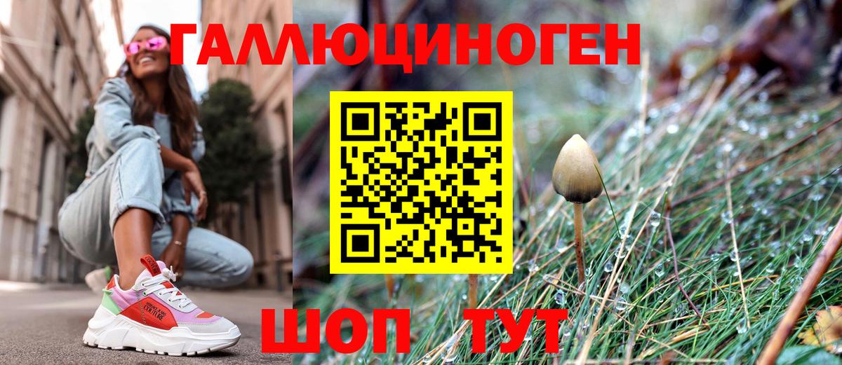 Псилоцибиновые грибы прущие грибы  Железноводск  Псилоцибиновые грибы Psilocybine cubensis 