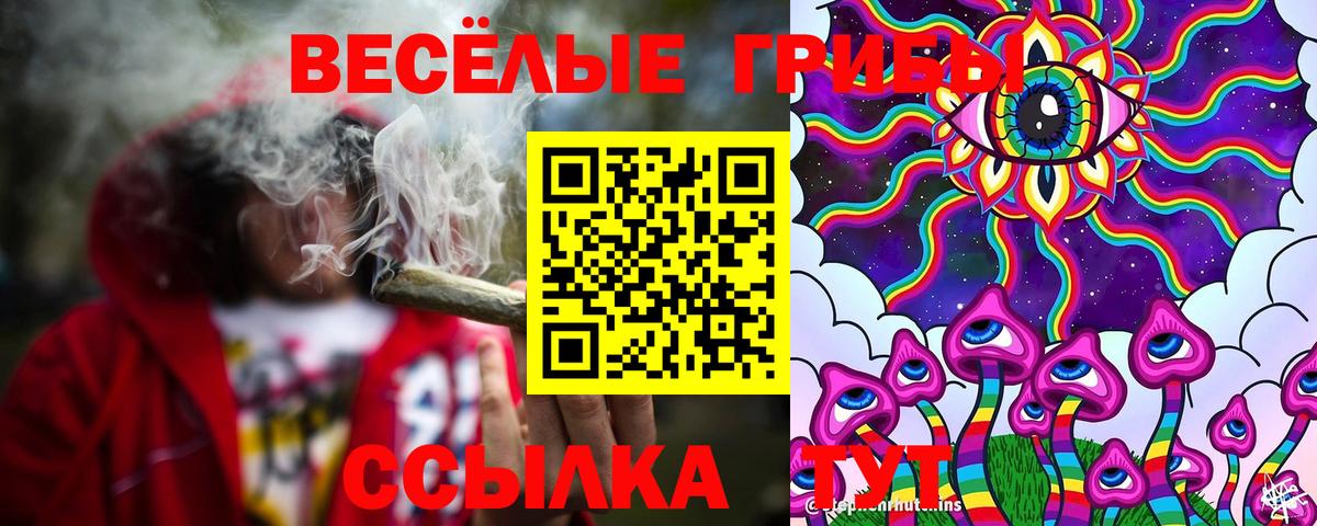 Галлюциногенные грибы Psilocybe Железноводск